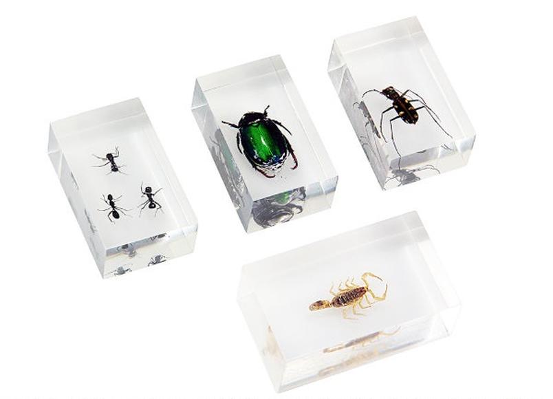 Набор насекомых 2 (Экспонаты в акриле) МИКРОМЕД Микроскопы и лупы